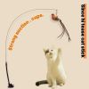 Upgraded Epoxy Sucker Steel Wire Long Rod Feather Cat-Teasing Stick Cat Self-Hi No Harmful Ingredients