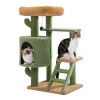 Desert Cactus Cat Tree Ladder Multi Levels Condo