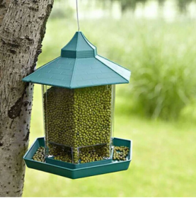 Waterproof hanging bird food box (Color: Green)