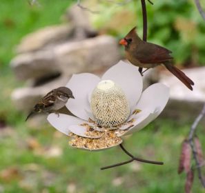 Garden Petal Shape Bird Feeder (Color: White)