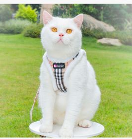 Cat Pulling Rope Anti Breaking Loose For Outdoor Use (Option: Beige Black Plaid-XXS)