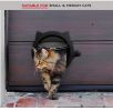 Pet cat door free access to the doorway suitable for installation of glass doors wooden doors iron doors