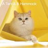 Mewoofun Pet Portable Folding Tent Cat Hammock House Easy Assembly for Dog Cat