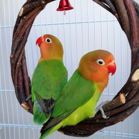 Bird Standing Frame Rattan Ring Chewing Toy Bird Cage (Option: About 20cm in ziplock bags)